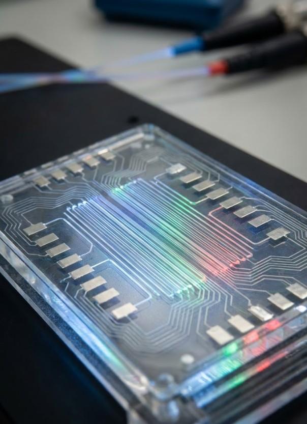 Bioinformatika a chemická informatika