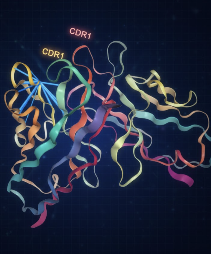 Bioinformatika a chemická informatika