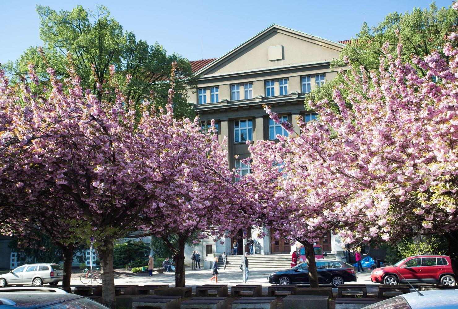 Faculty management and organization