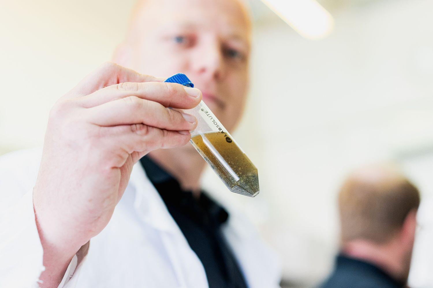 Are you considering a Ph.D.?