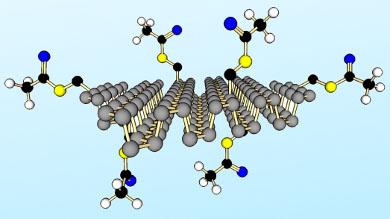 Tým doc. Sofera úspěšně publikuje