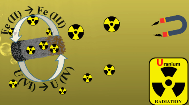 Prekoncentrace radioaktivního uranu pomocí nanorobotů