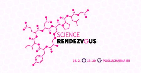 rendezvous-web
