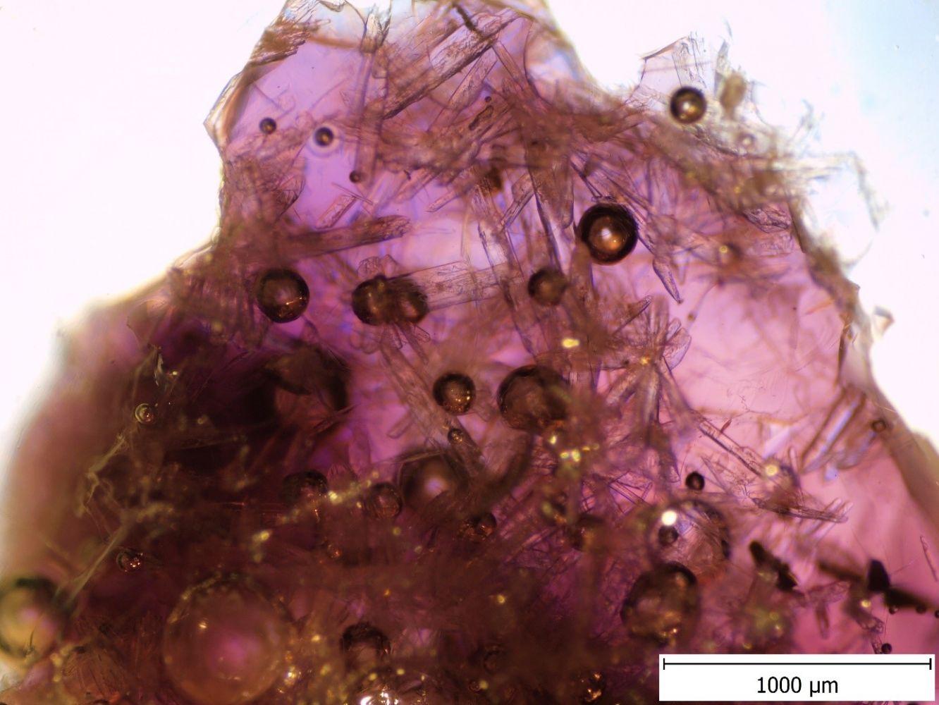 cena-silikatove-spolecnosti